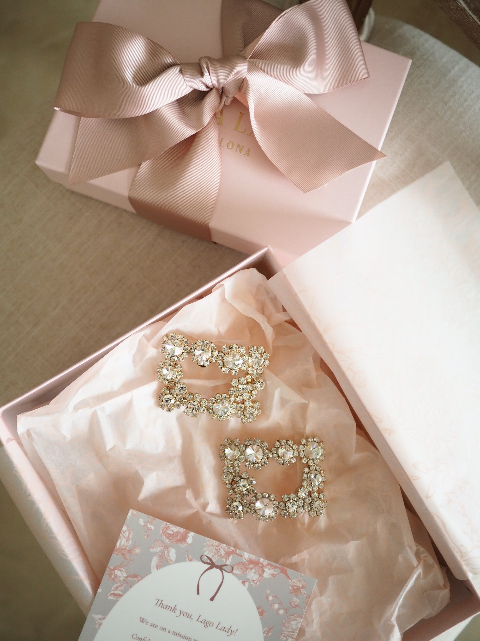 Amelie shoe clips crystal