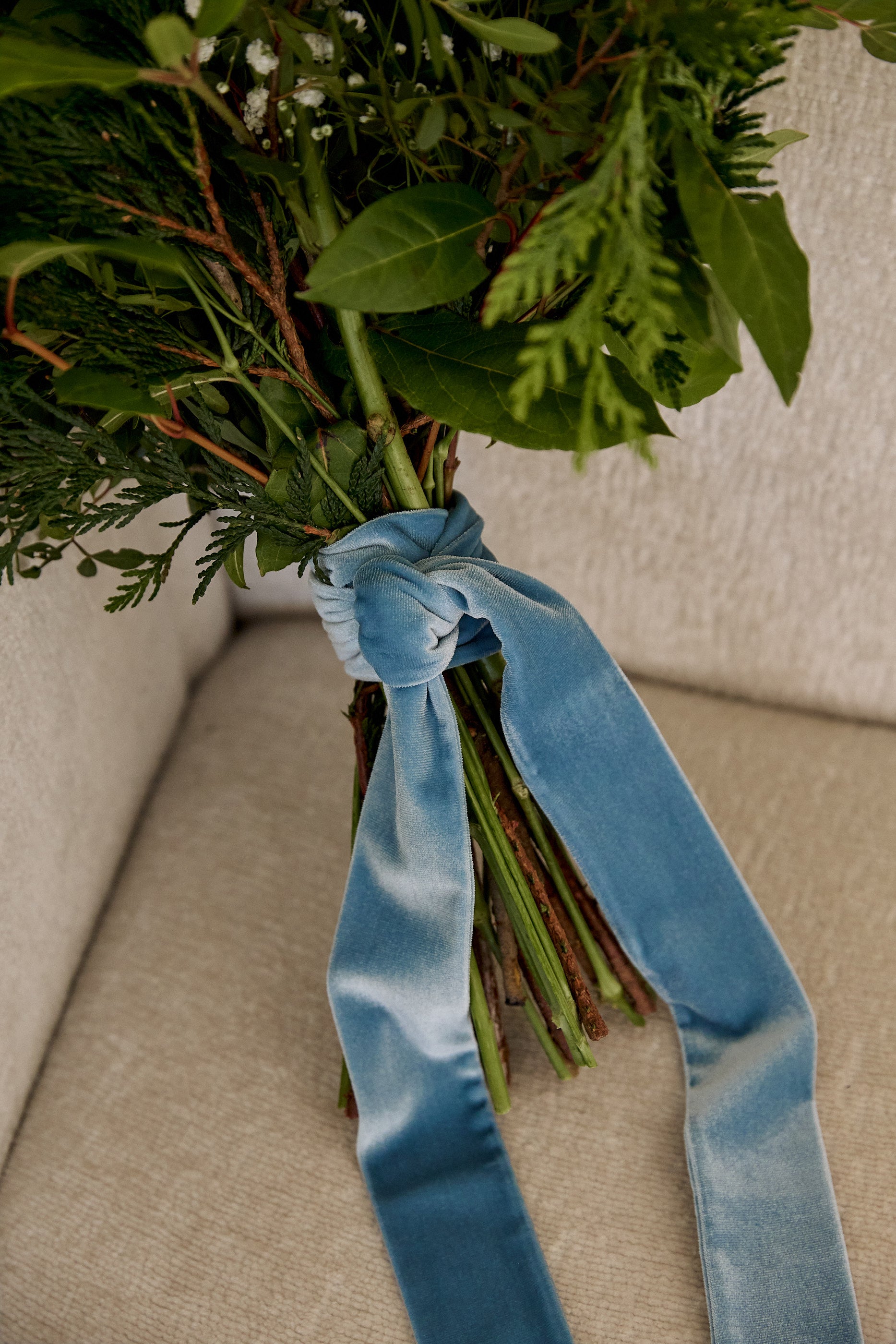 Lady Honour ribbon parisian velvet